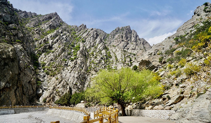 賀蘭山　寧夏銀川