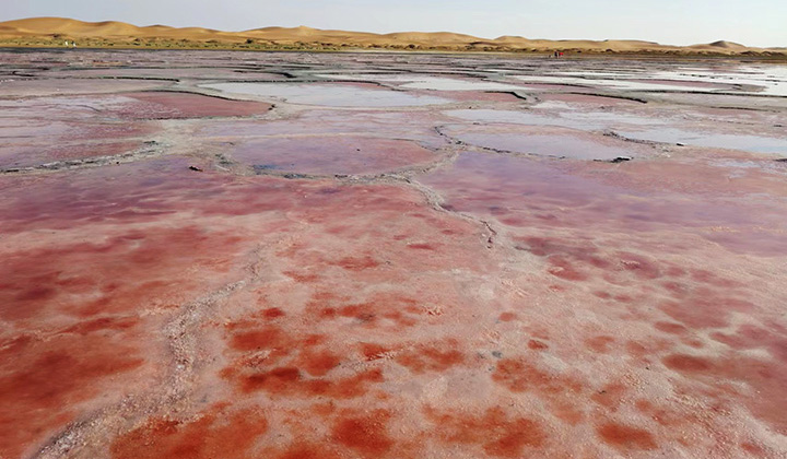 トンゴリ砂漠　ウラン湖