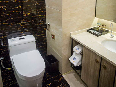 チャカ塩湖 金恒基大酒店