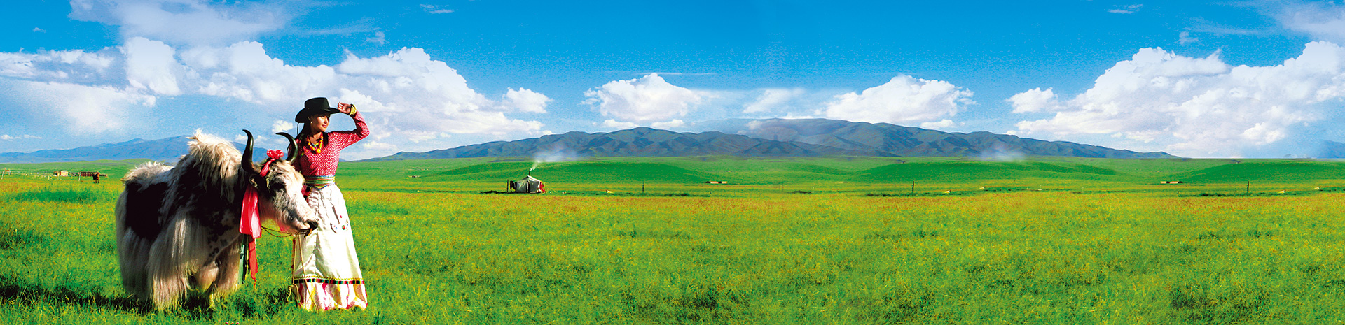 青海観光現地ツアー