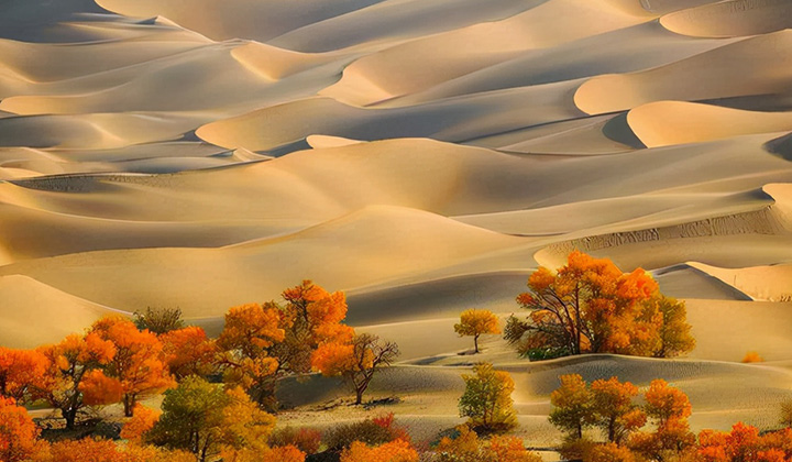 新彊　タクラマカン砂漠