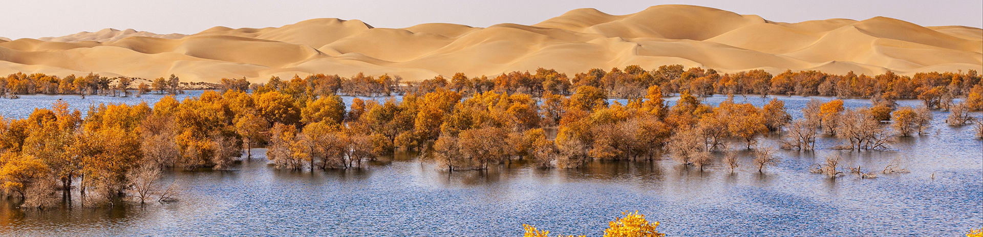 新彊　タクラマカン砂漠
