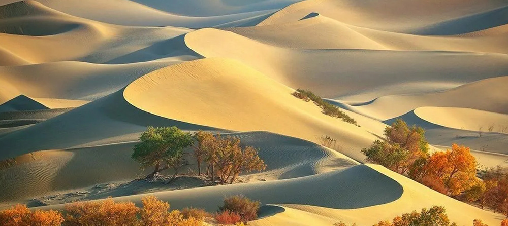 新彊 タクラマカン砂漠