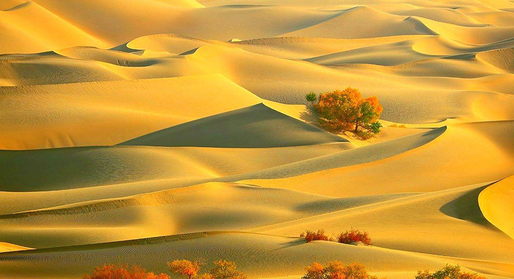 新彊 タクラマカン砂漠