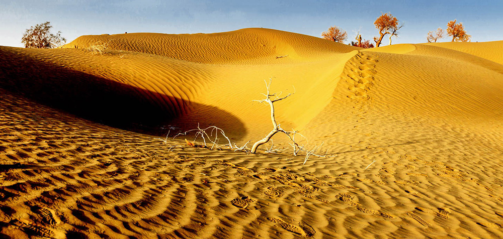 新彊 タクラマカン砂漠
