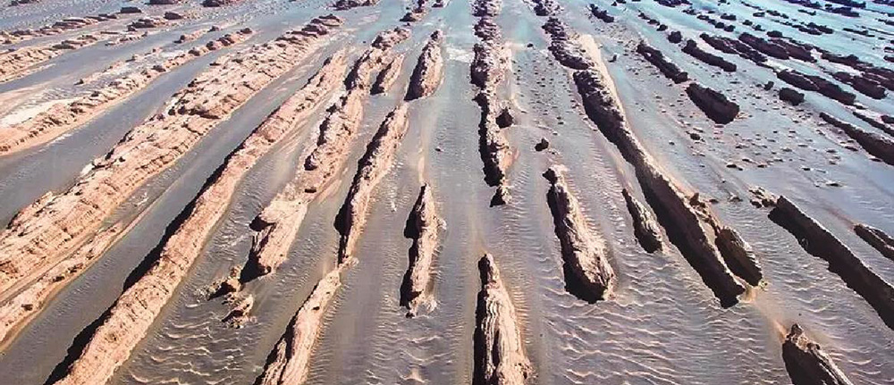 敦煌 雅丹（ヤルタン）魔鬼城